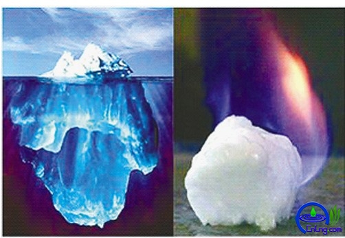 image001.jpg